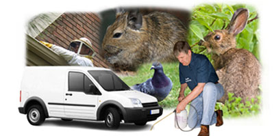 Warsop local van